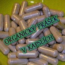 Pískavice kapsle 600mg